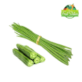 MORINGA - මුරුංගා - Murunga 10 seeds pack your home garden.. 