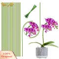 SuperRide Plant Stick for Garden Flexible Metal Plant Support Sticks for Orchids Peonies Roses Set of 20 Strong Growth Stakes for Potted Plants Favorite Adjustable Plant Support. 