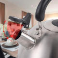 Kettle Whistling Nozzle Stainless Steel Spout Nozzle Water Boiling Teaket-'f. 