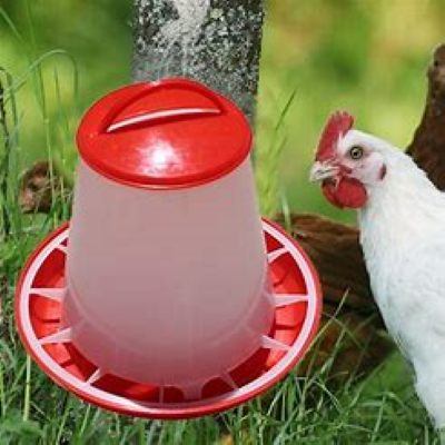 Chicken Feeder l Chick Feeder l Layer Feeder l Broiler Feeder
