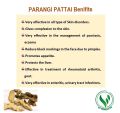 3V PRODUCTS: Parangi Pattai Powder 50g | Chobchini | Smilax Glabra | Parangi Chekka(FROM IND)JEZ. 