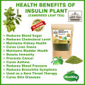 Thebu Leaf Tea (Insulin Plant Leaf) 100g. 