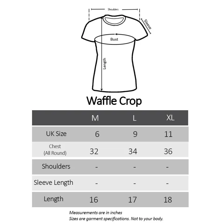 Top%20Summer%20Korean%20Style%20Extra%20Large%20Size%20Baggy%20Stretchy%20Waffle%20Fabric%20190%20Gsm%20Bat%20Sleeve%20Tee%20Women's%20Clothing%20Loose-Fitting%20Batwing%20Sleeve%20Waffle%20Crop,%20Hip%20Pop%20Leader%20Top%20Shirt%20Blouse%20Western%20Style%20Blouse%20Ladies%20Short%20Sleeve%20Clothing%20T-Shirt%20In%20Ash%20Colour%20-%20Image%202
