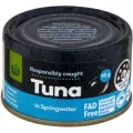 Woolworths tuna in Springwater 95g. 