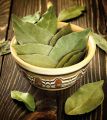 Cinnamon leaves Dried/ cinnamon tea/spices/herbs/. 