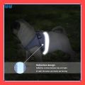 VibeVendor 『27Pets』Cat Dog Adjustable Harness Vest Walking Lead Leash For Puppy Dogs Collar Polyester Mesh Harness For Dog Cat Pet. 