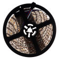 RGB 5M 5050 LED Strip Light Flexible 300 Leds SMD LED Tape Waterproof Epoxy. 