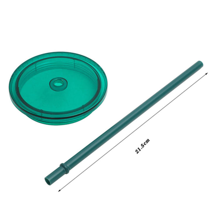 16oz%20Double%20Layer%20Plastic%20Straw%20Cup%20Borderless%20Creative%20Portable%20Carrying%20Cup%20-%20Image%202