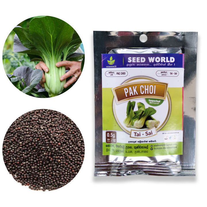 Eggplant PADAGODA 175+ Seeds Wambatu Beeja 0.5g