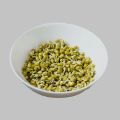 Green gram (Quality mun bean මුං ඇට) - 1kg. 