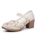 Summer Mesh High Heel Old Beijing Shoes for Han Chinese Clothing Cheongsam Shoes Antique Cloth Shoes Embroidered Shoes Women's Chinese Style Traditional Women's Shoes. 