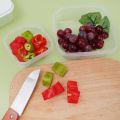 Portable Reusable Plastic Transparent Food Organizer with Cover Fridge Vegetable Fresh Keeping Storage Box Home Fruits Grains Sorting Container. 