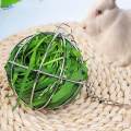 Hung Ball Shape Feeder Toy Stainless Steel Grass Rack for Chicken Hamster Rat. 