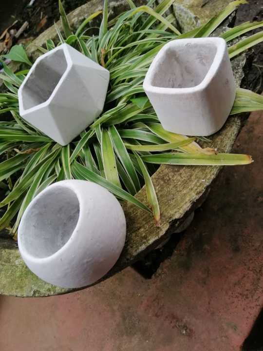 Cactus MINI POTS Cacti Planters Cactus Plant Pot Flower Pot Indoor Flower Planter Small Flower Pots