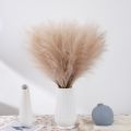 Natural Fake Wedding Decor For Home Decoration Bedroom Plante Artificial Flower Pampas Grass Fake Flowers Artificial Reed. 