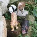 New F imulation Wild Animal Model Africa Animal Elephant Lion Giraffe Bear Action Figure Wildlife Hippo Zebra Crocodile Figurine Kid Eductional Toy Gift. 
