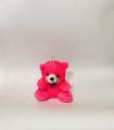 Cute Teddy Bear Key Chain. 