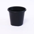 Cactus Plastic Flower Pot 5.5cm*5cm 20pots in set Garden Plant Seeds. 