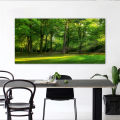 Natural Landscape Posters Forest Green Tree Painting Canvas Prints Wall Picture for Living Room Modern Home Decoration No Frame. 