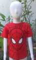 Spiderman T shirt For kids/Cotton t shirt/Marvel T shirt. 