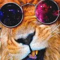 Sunglasses lion 3D printed hoodies Kids unisex casual stylish comfortable novelty sweatshirts long sleeve tops Autumn Winter. 