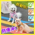 Pomeranian Teddy Walking Dog Dog Rope Cat Dog Chain Puppy Hand Holding Rope Small Dog Vest Clothes Explosion-Proof. 