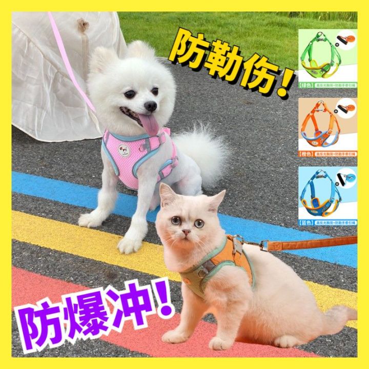 Pomeranian%20Teddy%20Walking%20Dog%20Dog%20Rope%20Cat%20Dog%20Chain%20Puppy%20Hand%20Holding%20Rope%20Small%20Dog%20Vest%20Clothes%20Explosion-Proof%20-%20Image%206