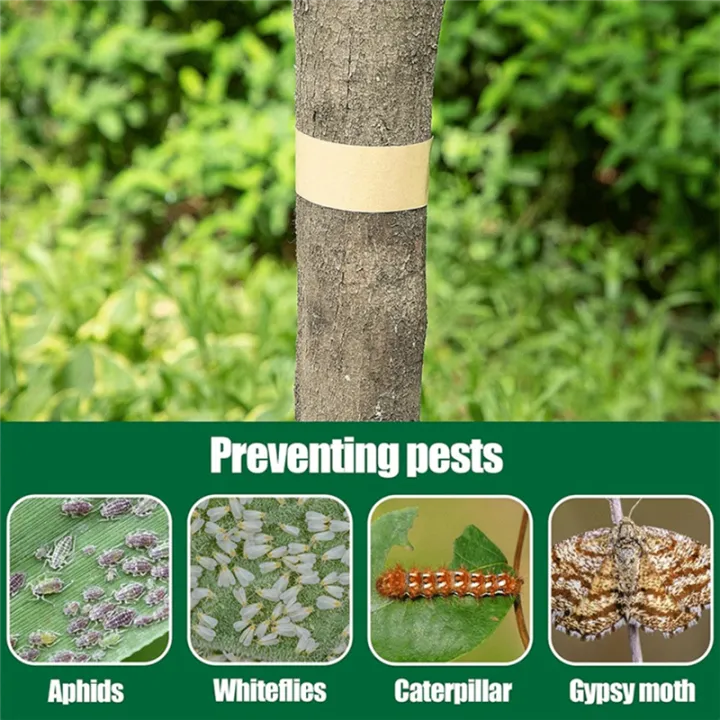 Tree Insect Barrier Tree Insect Barrier Cicada Tree Wrap Protection Tape, Adhesive Crawling ...