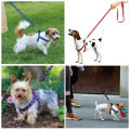 Adjustable Small Dog Cat Harness Leash Vest Puppy Collar. 