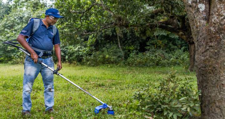 Fine%20Grass%20Cutter%20(Brush%20Cutter)%20BG-328%20-%20Image%204