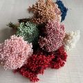 5~15CM/12PCS Natural Dried Preserved Millet Flower,Dry Tiny Ozothamnus Diosmifolius Flowers DIY For Candle Making Supplies,Resin. 