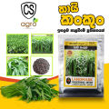 Water Spinach Thai KangKong Bamboo leaf Seeds  කංකුං බීජ 10g. 