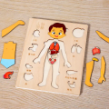Wooden Human Body Structure Brick Toy System to Learn Body Parts Early Interactive Educational Toy for Kids. 