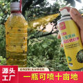 Fruit fruit fly adhesive attractant fruit fly trap insect attractant insecticidal yellow board double-sided adhesive insect board needle killer bee. 