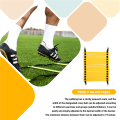 Sports Speed Agility Training Set 10 Disc Cones and Agility Ladder. 