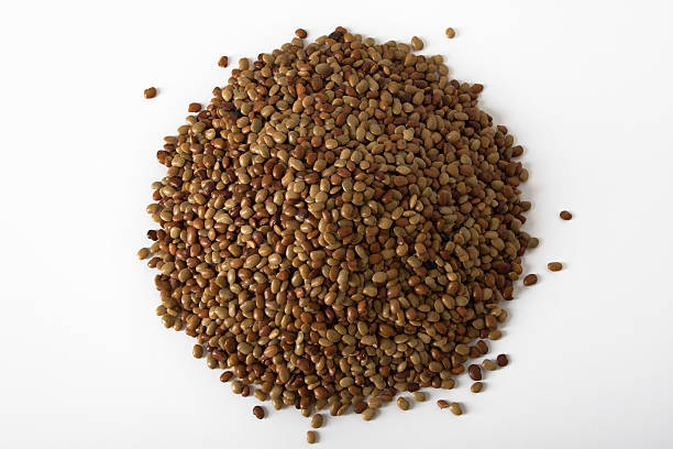 Kollu%20Seeds%20500g%20Horse%20Gram%20-%20Image%203