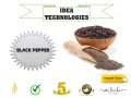 Black pepper (gammiris). 