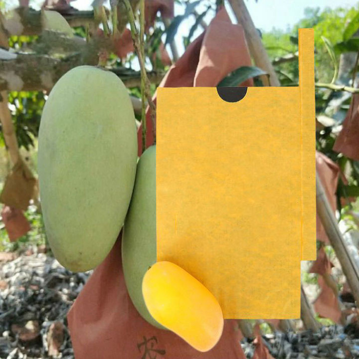 Mango%20Covering%20Bags%20Fruit%20Protection%20Bag%20TJC%20-%20Image%202