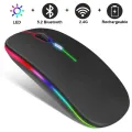 Tablet Phone Computer Bluetooth Wireless Mouse Charging Luminous 2.4G USB Wireless Mouse Portable Mouse. 