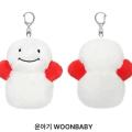 Kpop Idol BOYNEXTDOOR Plush Toys SUNGHO RIWOO JAEHYUN TAESAN LEEHAN WOONHAK Same Style Keychain Cute Doll Pendant Fans Gifts. 