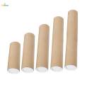 Poster Tube Cardboard Postal Tube Protector Tube Packaging for Documents Artwork Shipping , 30cm. 