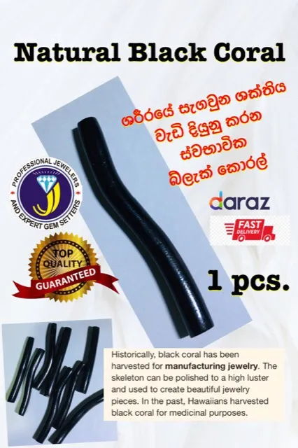 Natural%20Black%20Coral%201pcs.%20-%20Image%202