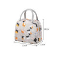 Functional Lunch Bag Lunch Bag For Kids Cooler Lunch Box Portable Lunch Bag Insulated Lunch Bag Thermal Lunch Bag. 