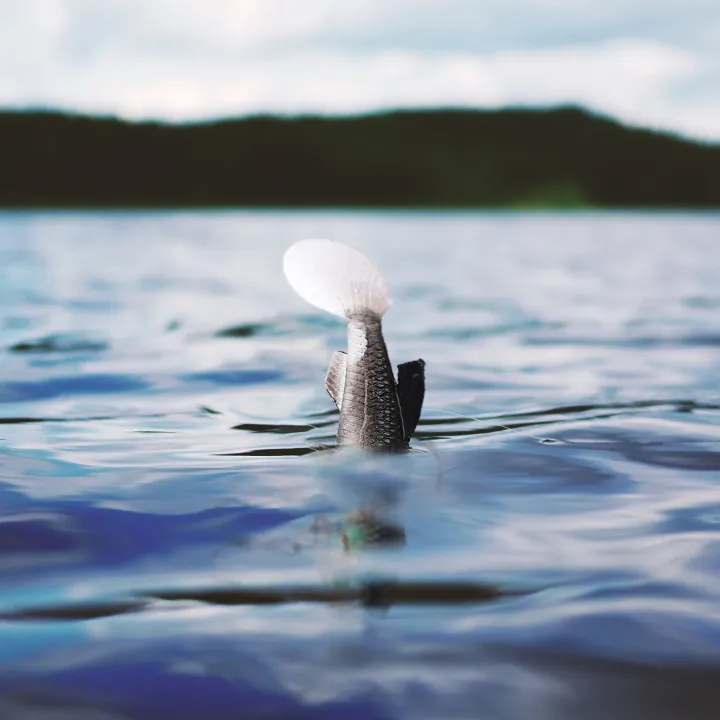 QUANBU%205pcs/lot%20Soft%20Lure%208cm%2014g%20Wobblers%20Artificial%20Bait%20Fishing%20Lures%20Sea%20Bass%20Carp%20Fishing%20Lead%20Fish%20Jig%20-%20Image%208