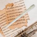 Long Flute Woodwind Instrument for Children Toy Birthday Gift Beginners. 