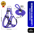 Radium Reflective Dog Leash with Harness Set (Medium). 
