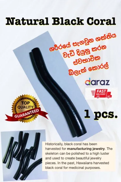 Natural%20Black%20Coral%201pcs.%20-%20Image%203