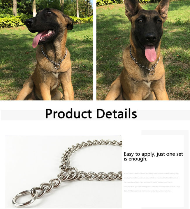 Medium%20Large%20Dog%20Collar%20Adjustable%20Slip%20Choker%20Chain%20Heavy%20Duty%20Necklace%20Collar%20Puppy%20Dog%20Belt%20Dog%20Collars%20Dogs%20Belt%20Dog%20Strap%20Silver%20Metal%20Chain%20Buckle%20Pets%20Dog%20Chain%20Metal%20Collar%20Dogs%20Sale%20Sri%20Lanka%20Dogs%20Sale%20Strip%20Lanka%20Dogs%20Sell%20Pets%20Dog%20Sale%20-%20Image%2010