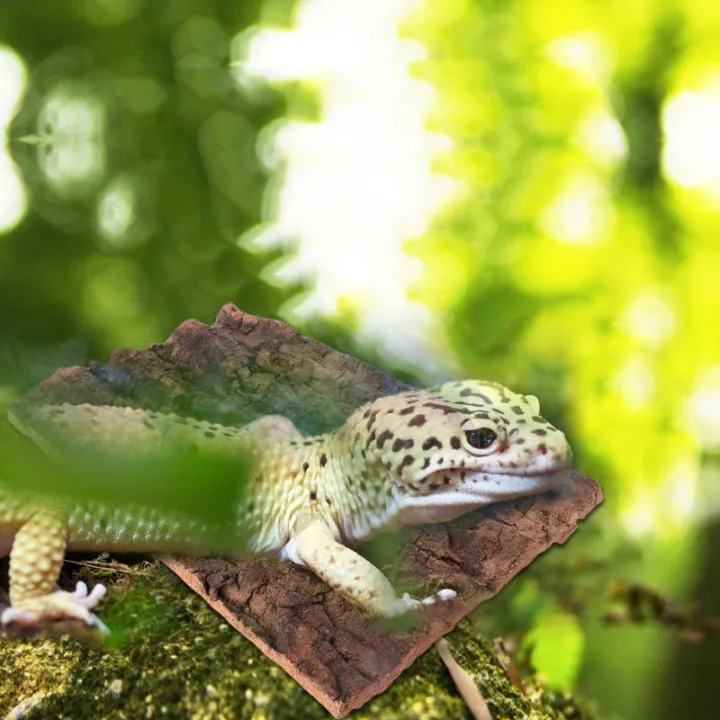 %E2%99%A7%E2%94%85Oak%20Natural%20Cork%20Bark-%20Reptile%20Terrarium%20Climb%20Platform%20Hiding%20Hut%20Landscape%20Habitat%20D%C3%A9cor%20Hideout%20-%20Image%208