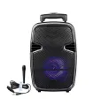 Karaoke Wireless Bluetooth Speaker KTS-1126. 